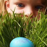 Egg hunt