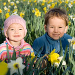 daffodil kids