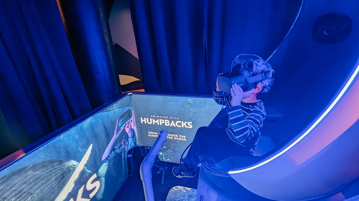 A young boy tries the Swimming with Humpbacks VR experience at the Seattle Aquarium