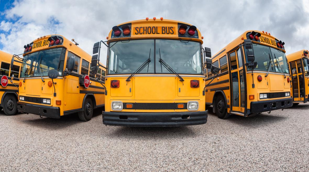 school-busses