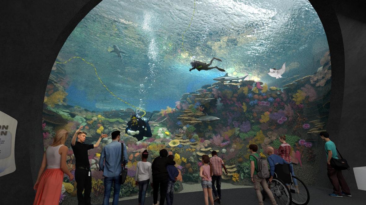 A rendering of The Reef courtesy Seattle Aquarium