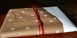 Snowy wrapping paper by Red Bird Crafts