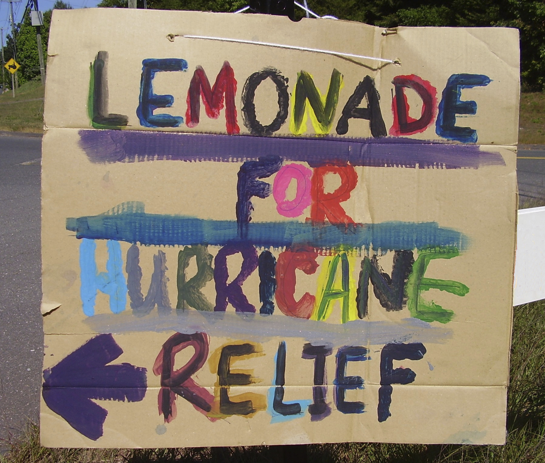 Lemonade stand sign for hurricane relief