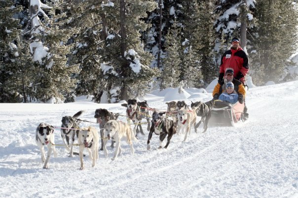 Sled Dog Rides Oregon Trail of Dreams Mt. Bachelor Bend Oregon Family Fun Trips Travel