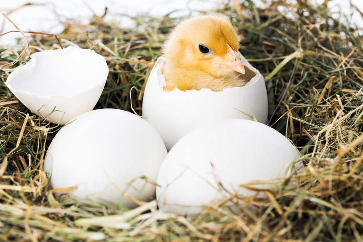 My Semi Empty Nest ParentMap   IStock 180755971 