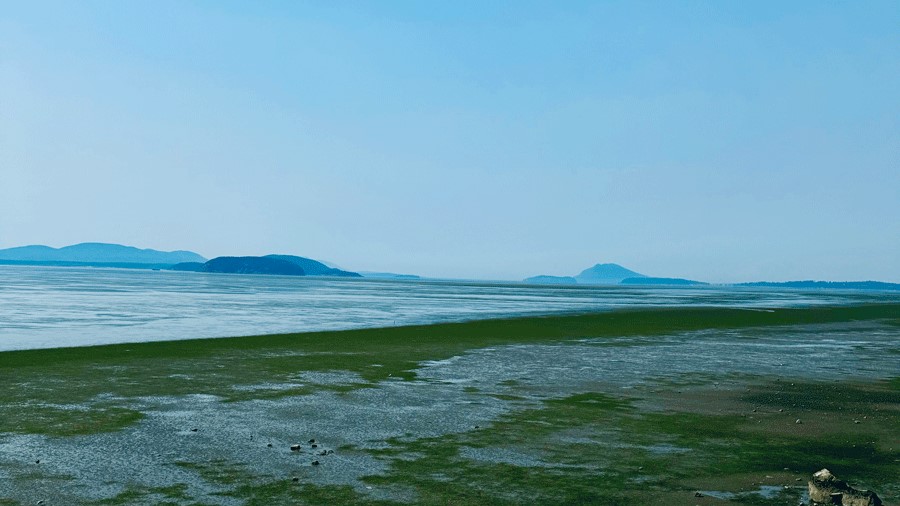 "Water views of the Padilla Bay Reserve beach, one of the many places to visit in Skagit Valley"