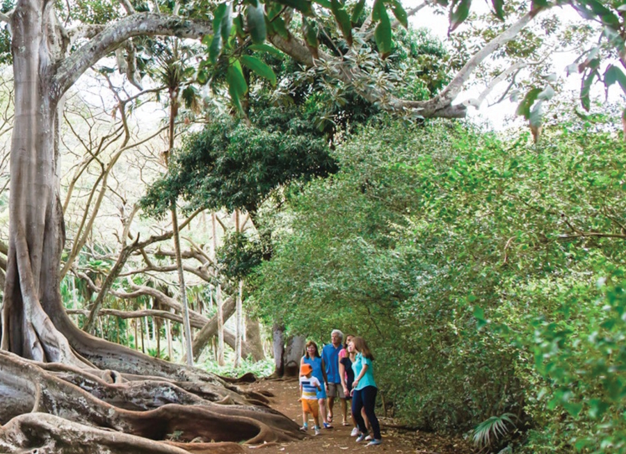 Kauai vacation things to do with family Allerton Garden