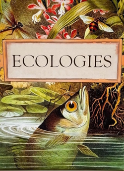 Ecologies card game