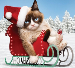 Grumpy Cat's Worst Christmas ever