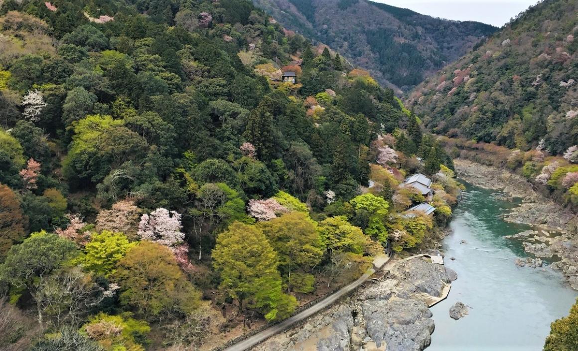 Togetsu-kyo-bridge-kyoto-arashiyama-Japan-sensory-travel-destination