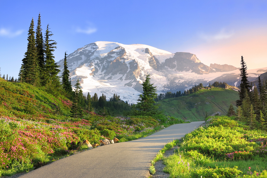 Mount Rainier in Washington