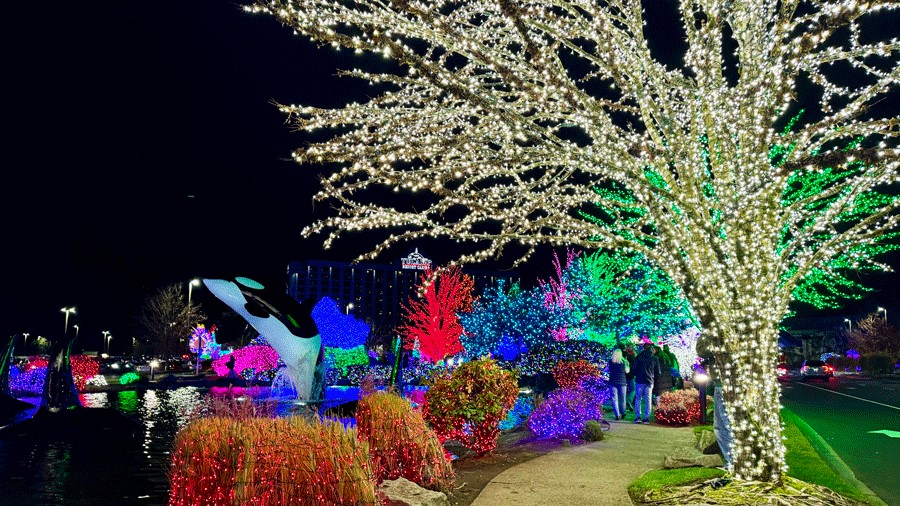 holiday light display at Tulalip Lights & Ice, open on Christmas Day in Seattle