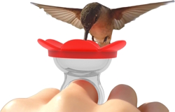 humming bird landing on a ring bird finger