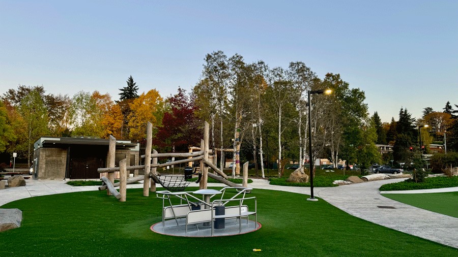 climbing structure and accessible merry-go-round at Pathways Park, a lighted Seattle playground