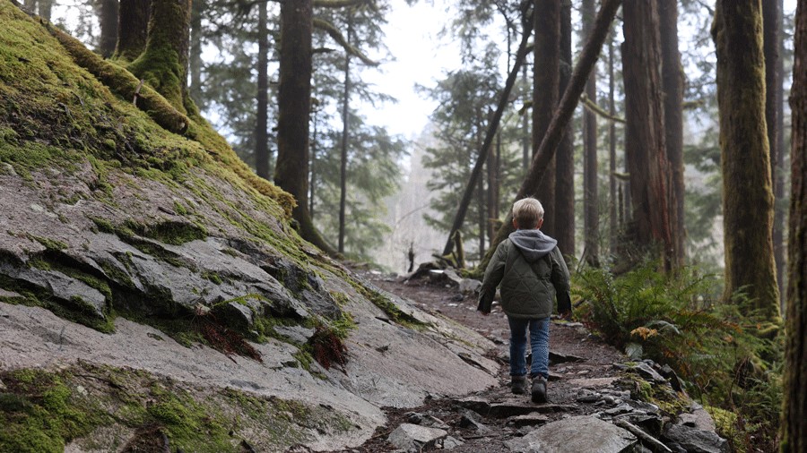 young boy walking on middle fork trail in north bend, a scenic hike