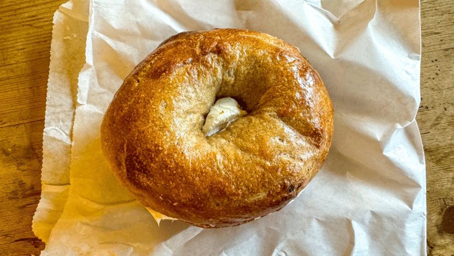 plain bagel with cream cheese at Bagel Oasis, a popular Seattle bagel shop