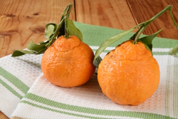 Sumo oranges