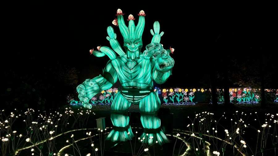 cactus man at WildLanterns, a holiday-season light display 