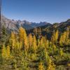 Best-fall-hikes-families-kids-autumn-colors-seattle-bellevue-everett-eastside