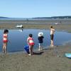 Kids play in a shallow pool of water in the sand on Everett's Jetty Island opening for summer 