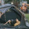 Family setting up a tent and a string of lights for backyard camping