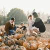 a family with two kids picking pumpkins at a pumpkin patch near Seattle, one of many family-friendly fall activities