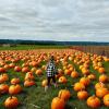 young girl walking in a pumpkin patch near Seattle, one of the many things to do in Seattle this weekend