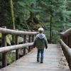 young boy on a scenic hike during winter near Seattle