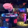 overhead view of the "Brainy Bodies" exhibit at Pacific Science Center in Seattle, a fun STEM-based activity for families