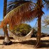 hammock garden by the beach at Hyatt Regency Grand Reserve Puerto Rico, a family-friendly resort