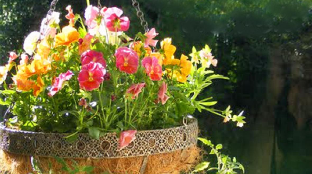 Flower basket