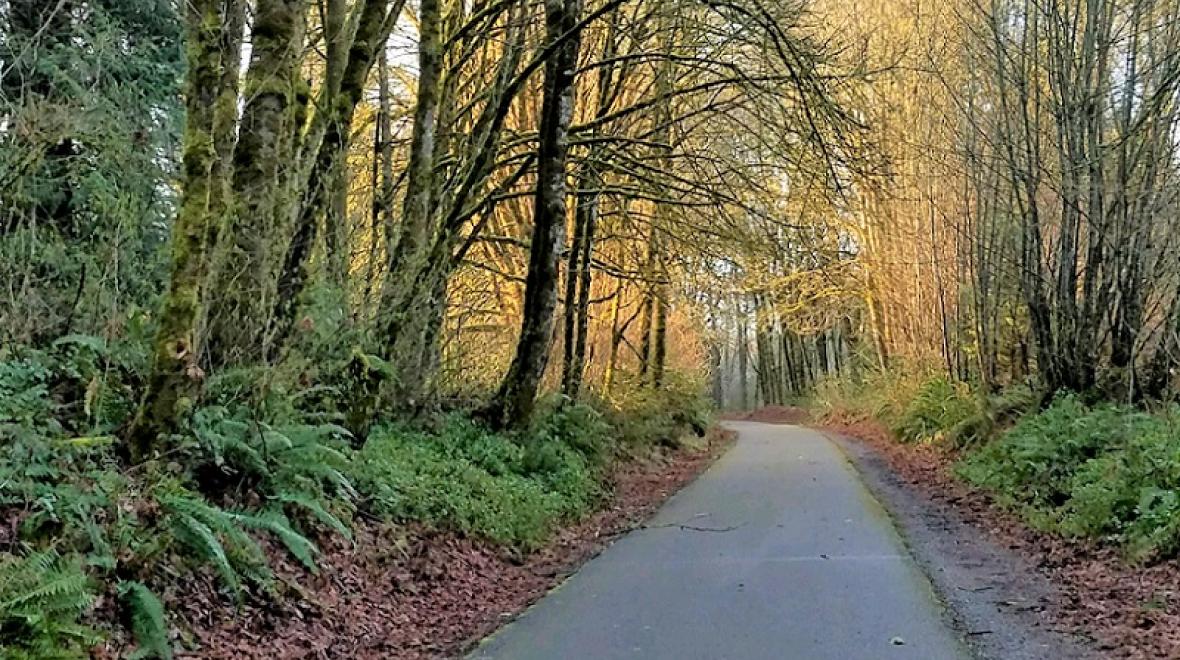 Chehalis Western Trail