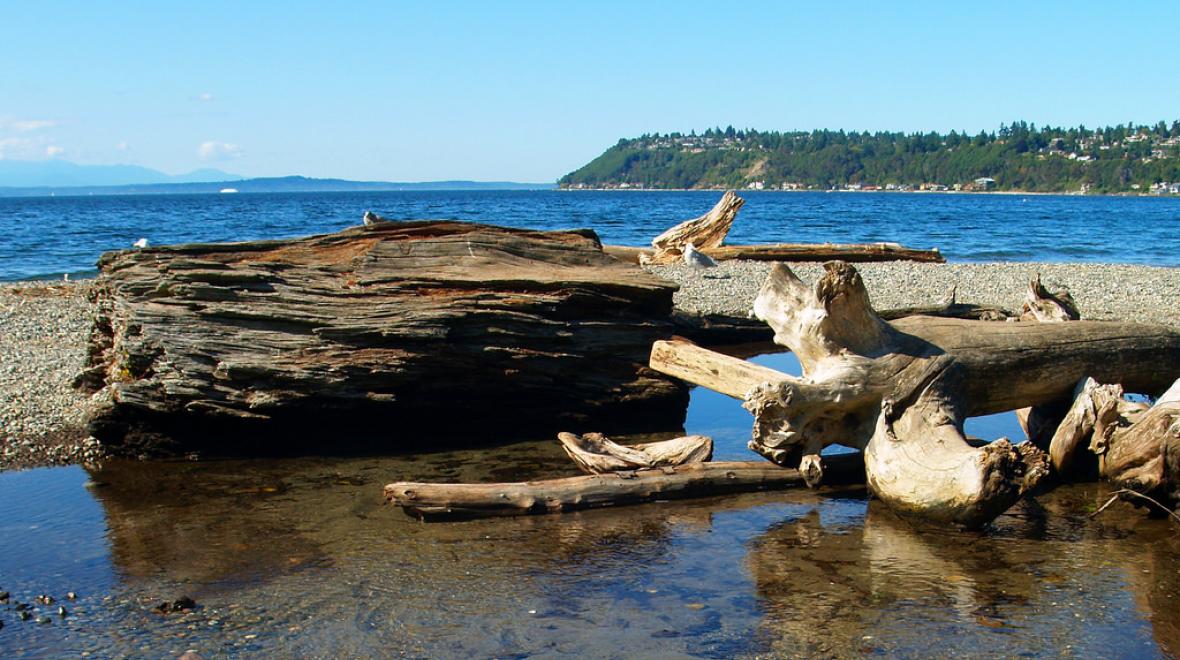 Seahurst Park in Burien one of Seattle-area's best beaches for kids and families