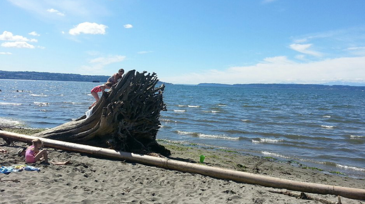 Summer Fun At Jetty Island One Of Puget Sound S Best