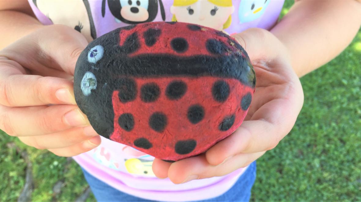 Creative Rock Painting for Kids  Painted rocks kids, Painted