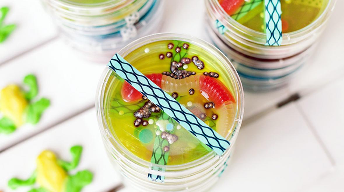 petri dish jello