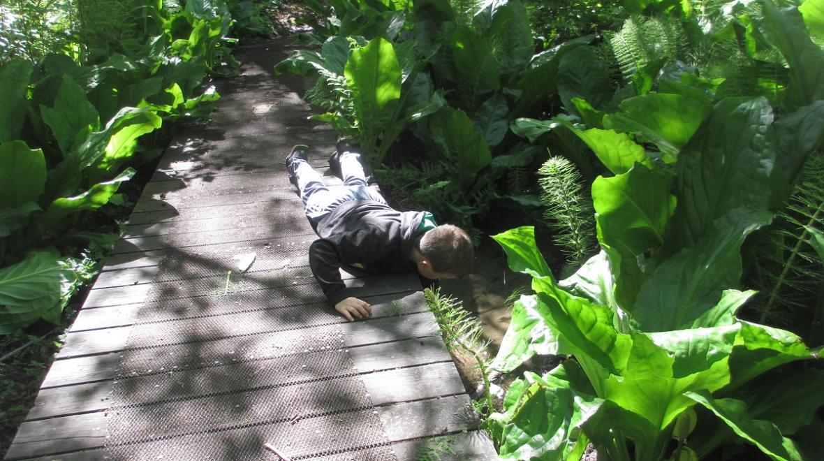 Discovery-Park-seattle-boy-touching-stream-on-wolf-tree-nature-trail