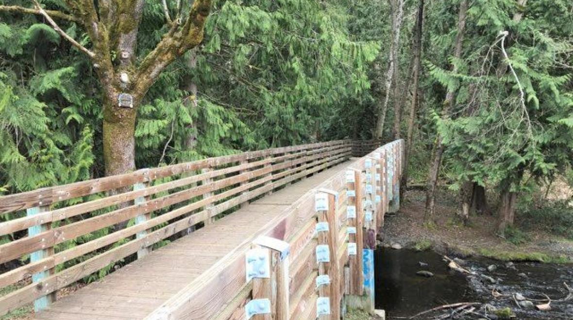 Fennel Creek Trail gnome door Bonney Lake Washington