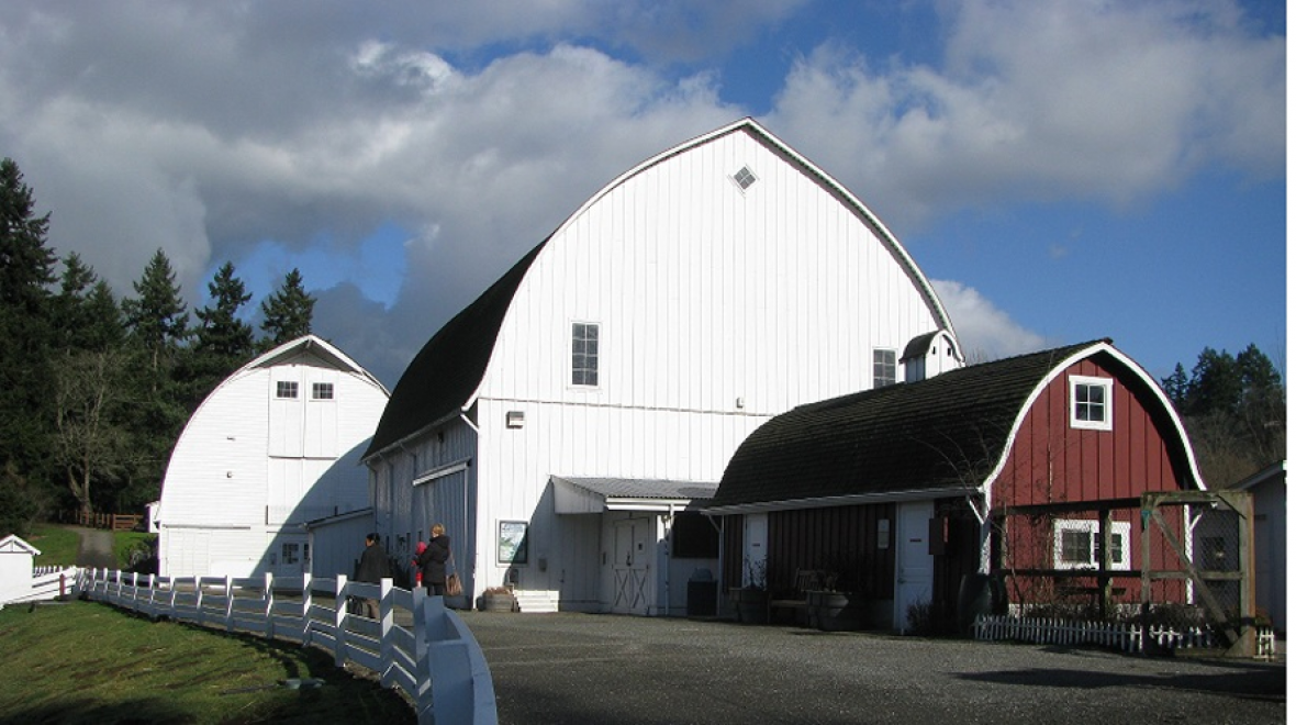 Kelsey Creek Farm, Bellevue