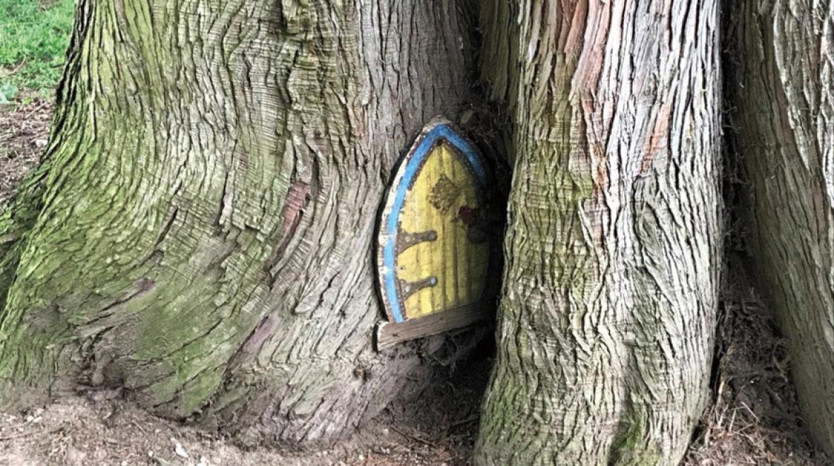 gnome door found in allan yorke park