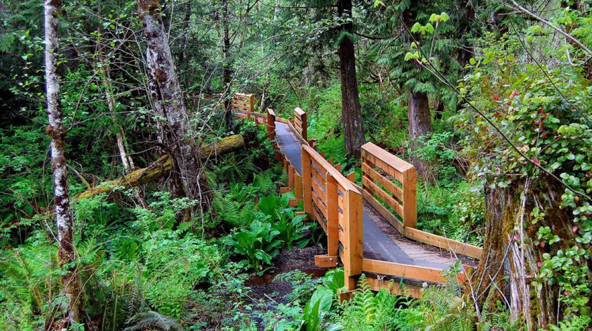 McLane Creek Trail