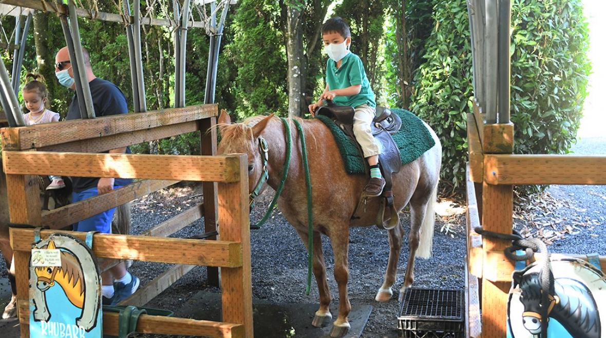 Child on small pony for pony ride at Remlinger Farms in Carnation best family farms and petting zoos for Seattle area families