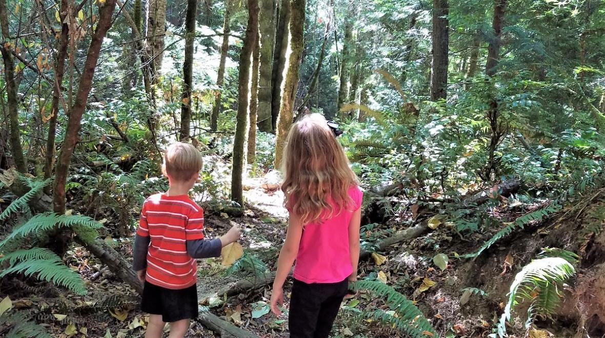 Hiking at Llandover Woods. Credit: Jessica Plesko