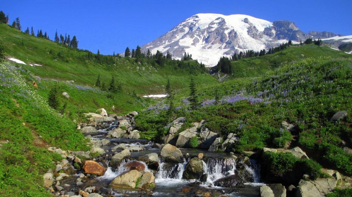 Myrtle Falls at Mount Rainier Paradise best waterfall hikes Seattle families and kids