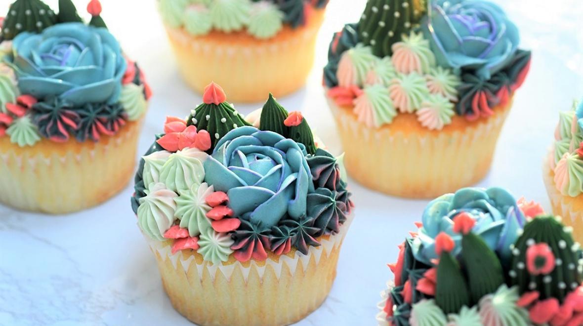 FogRose Atelier succulent frosting cupcakes best unique and new desserts around Seattle to try with kids