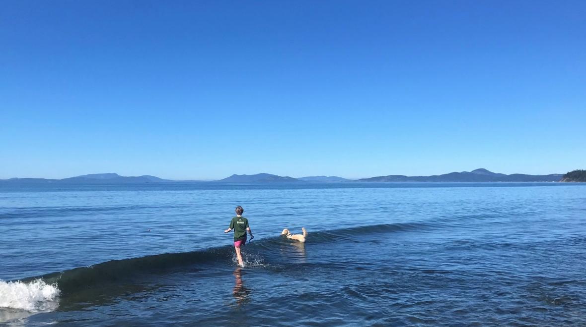 Tween kid and dog wade into the waters at Dugualla Beach on Whidbey Island with blue sky and mainland Skagit County in the background