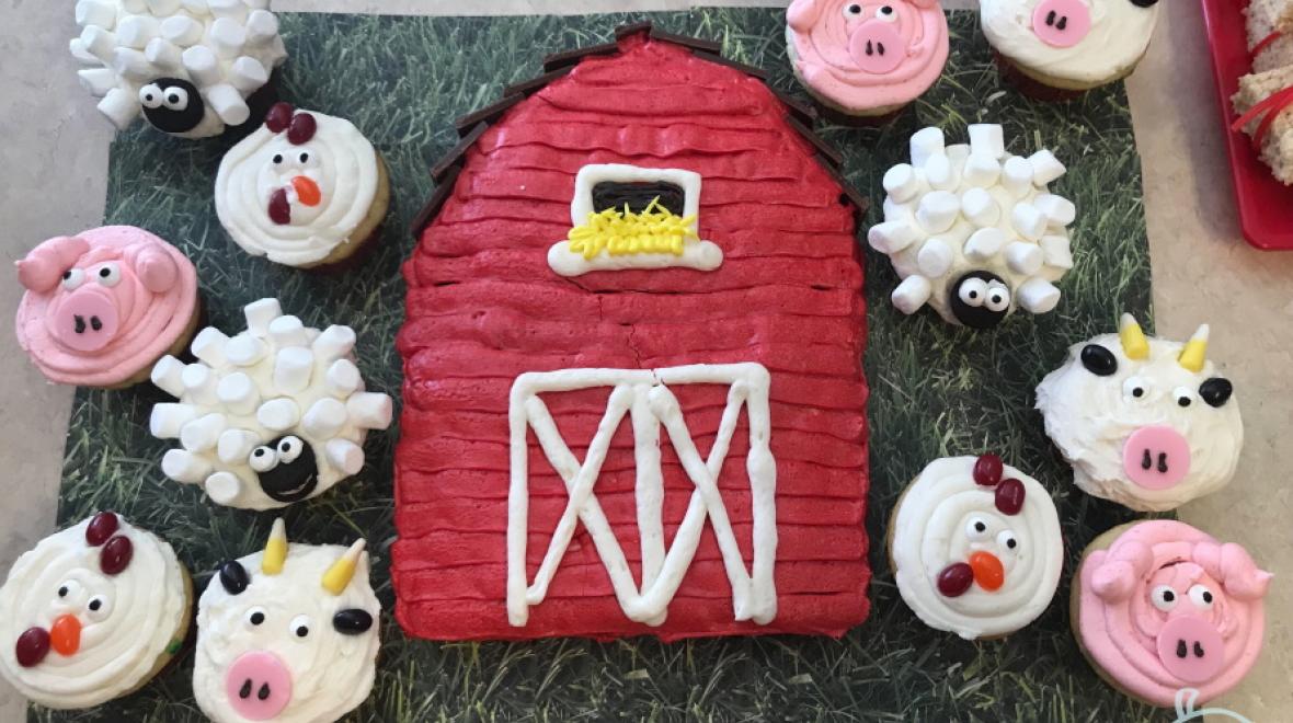 Farm-party-cake