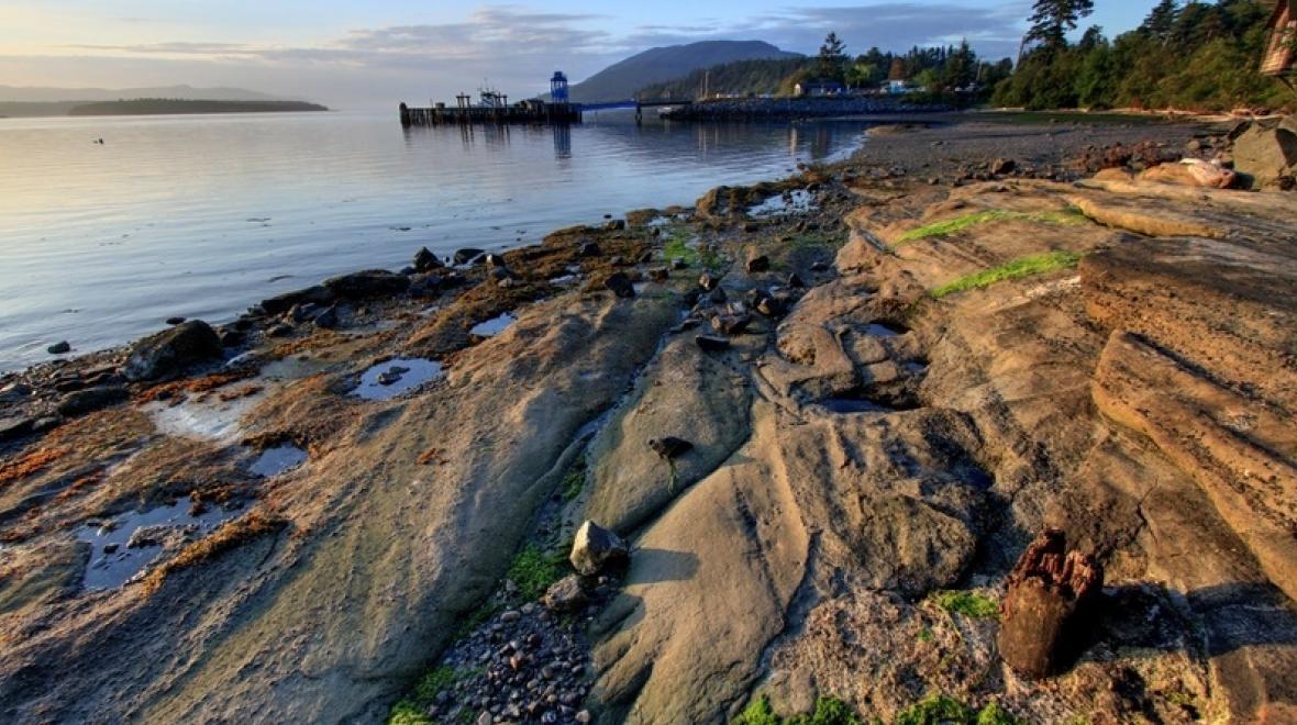 lummi island ferry dock from the beach