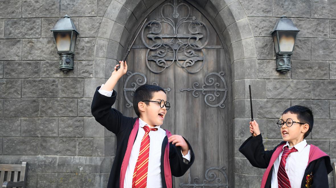 The Wizarding World of Harry Potter (Universal Studios Hollywood
