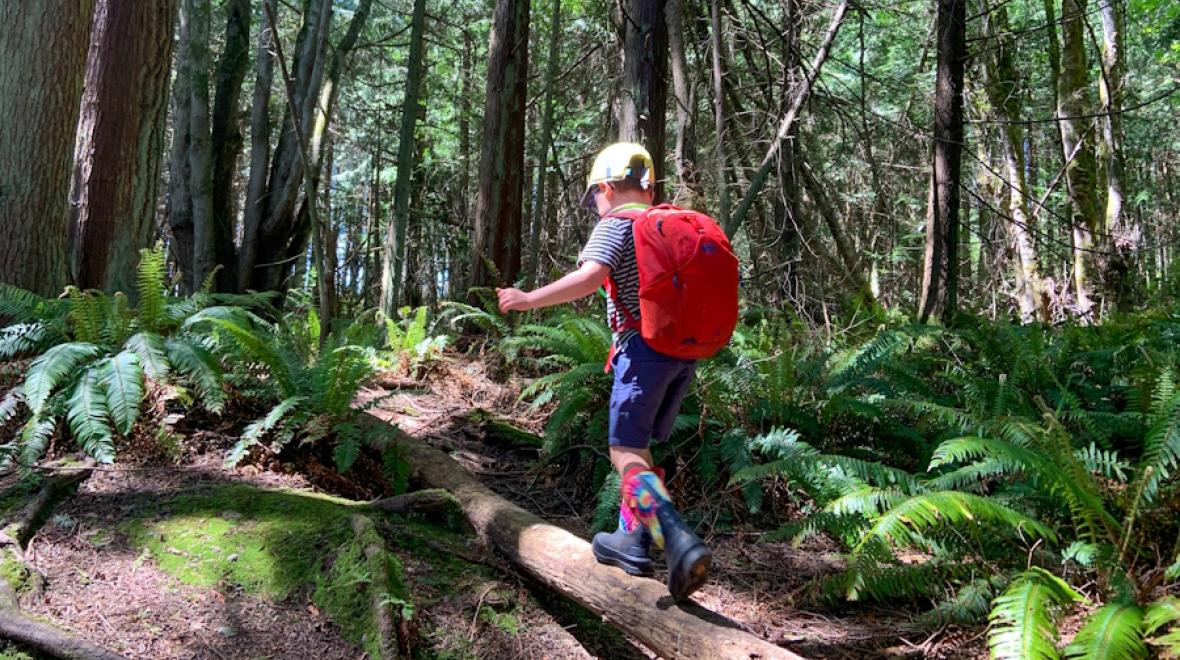 3-5 Day Backpacking Trips for Summer — Washington Trails Association